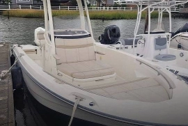 Boston Whaler, 220 DAUNTLESS