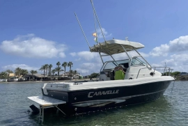 Caravelle, Sea Hawk 230 V series